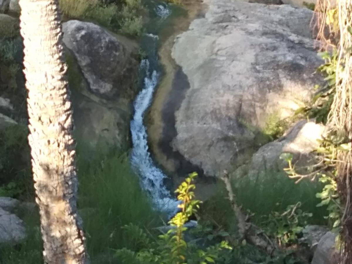 Jungle Camp Kumbhalgarh Exteriör bild